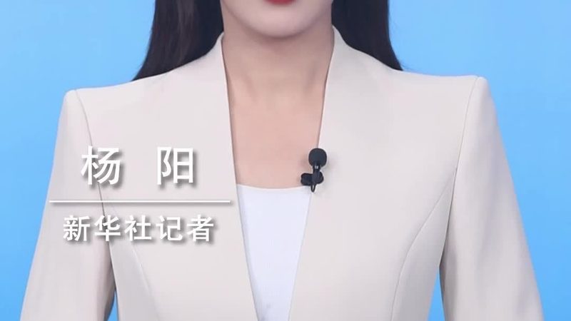 科技公司服务标准：构建可靠服务体系的基石